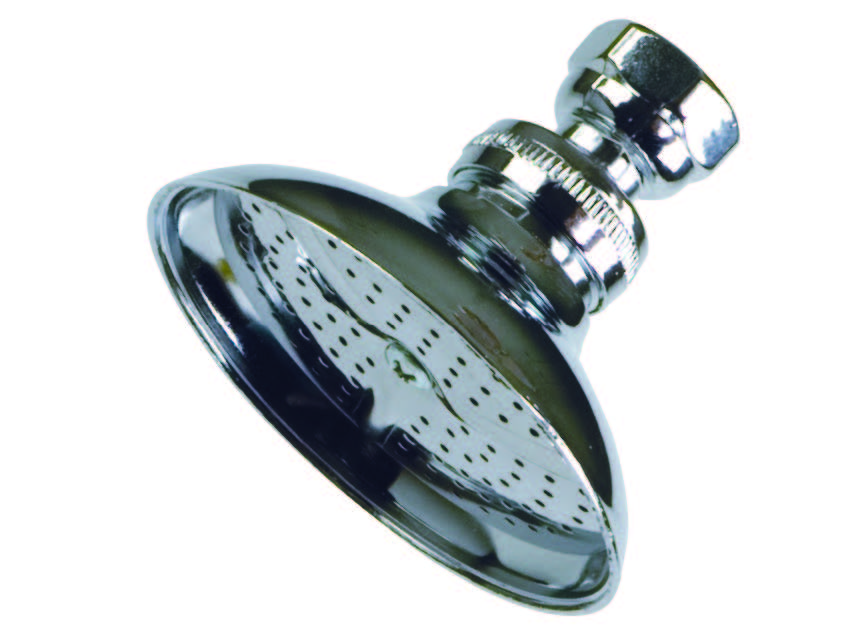 Ball Jointed Chrome Shower Head